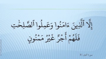 095 سورة التين - مشارى راشد
