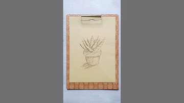 Sketch Cactus. #howtodraw #cactus #plants #sketch #drawing #tutorial #drawingtutorial #illustration