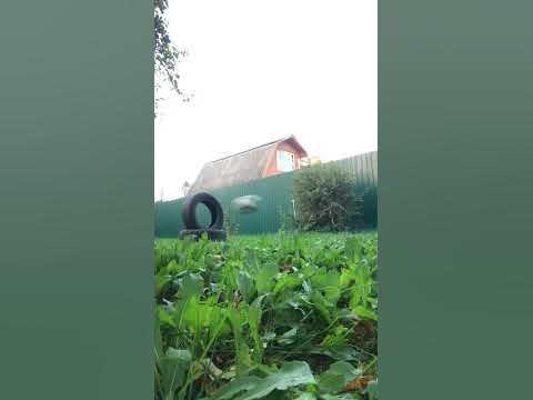 На даче ! - YouTube