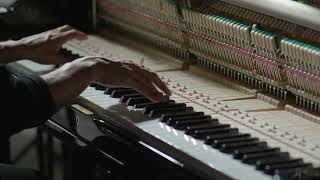 Stay (On Felt) - Alfonso Peduto