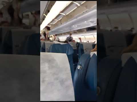 Аэробус а330-300 салон обзор #внуково #аэробус
