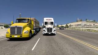 Reyna piel castores american truck