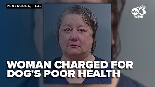 Pensacola woman charged for denying treatment, not providing care for suffering dog