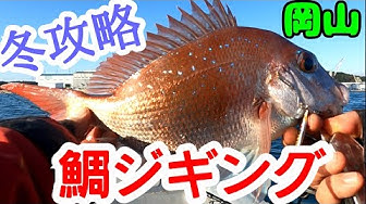 アニベイツ実況w釣り 生態 Youtube