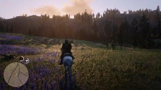 Red Dead Redemption 2