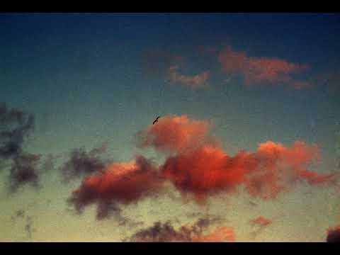 MoBlack X INNA Mayana