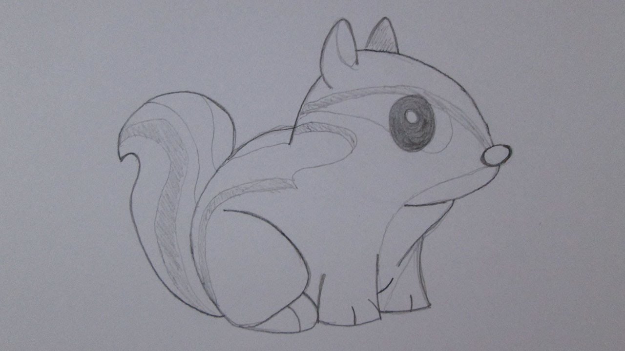 Como Desenhar um ESQUILO  How to Draw Squirrel 