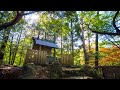 皇子原神社 Ohjibaru Jinja