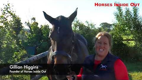 Horses Inside Out Academy - the online learning hub for all things equine anatomy and biomechanics