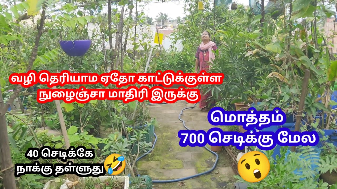 முதல் முறையாக நான் மிரண்டு போய் பார்த்த 😲 ஒரு மாடித்தோட்டம் 