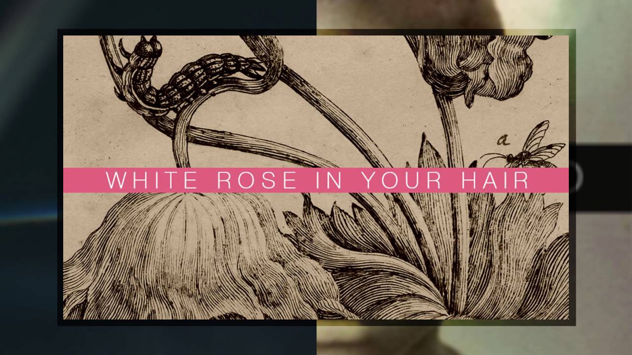 White Rose In Your Hair YouTube