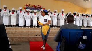 OAC- CORAL DE CHIBUTO, GAZA MOZAMBIQUE NO CRISMA