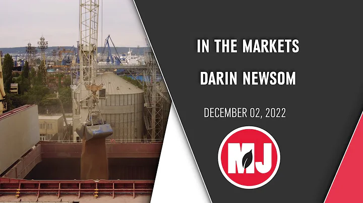 Darin Newsom Discusses Commodity Markets  | Decemb...