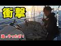 【歓喜】屋久島で大物の泳がせ釣りしたら深海から怪物が現れた！！脱サラして３年、、、これぞ人生の醍醐味！！