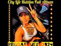 Reggae Mix 2024💯City Life Riddim,jah cure, queen ifrica, tarrus rilley, denyque, sean paul, more.