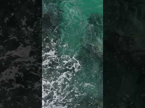Video Villaggio Punta Lunga: la tua finestra sull'antico Trabucco di