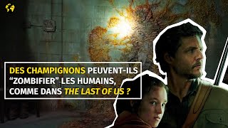 Des champignons peuvent-ils “zombifier” les humains, comme dans “The Last of Us” ?