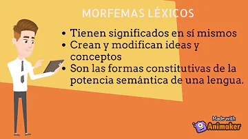 O que significa nível morfológico?
