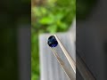 Ceylon Blue sappaire #srilanka #viral #gemquality #gemsnjewellery