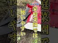 【比較検証】プロが教える耕運機の選び方！サイズ大・中・小を使い比べてみた／耕運機おすすめ【農機具王子のこれ使ってみて】 #家庭菜園 #耕運機 #農業機械