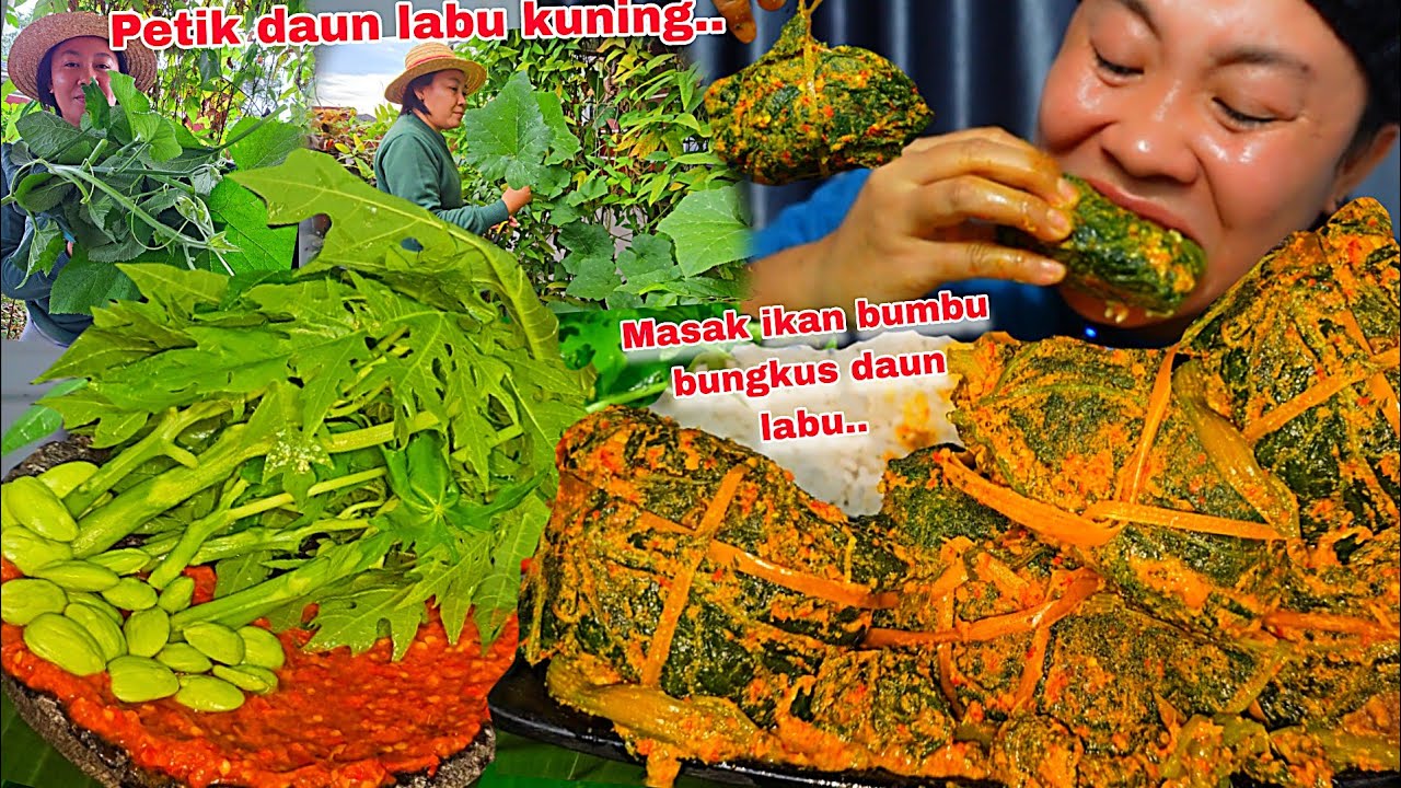 PETIK DAUN LABU DIPEKARANGAN RUMAH ,MASAK IKAN BUMBU BUNGKUS DAUN LABU KUNING ,MAKAN JADI NIKMAT🤤‼️