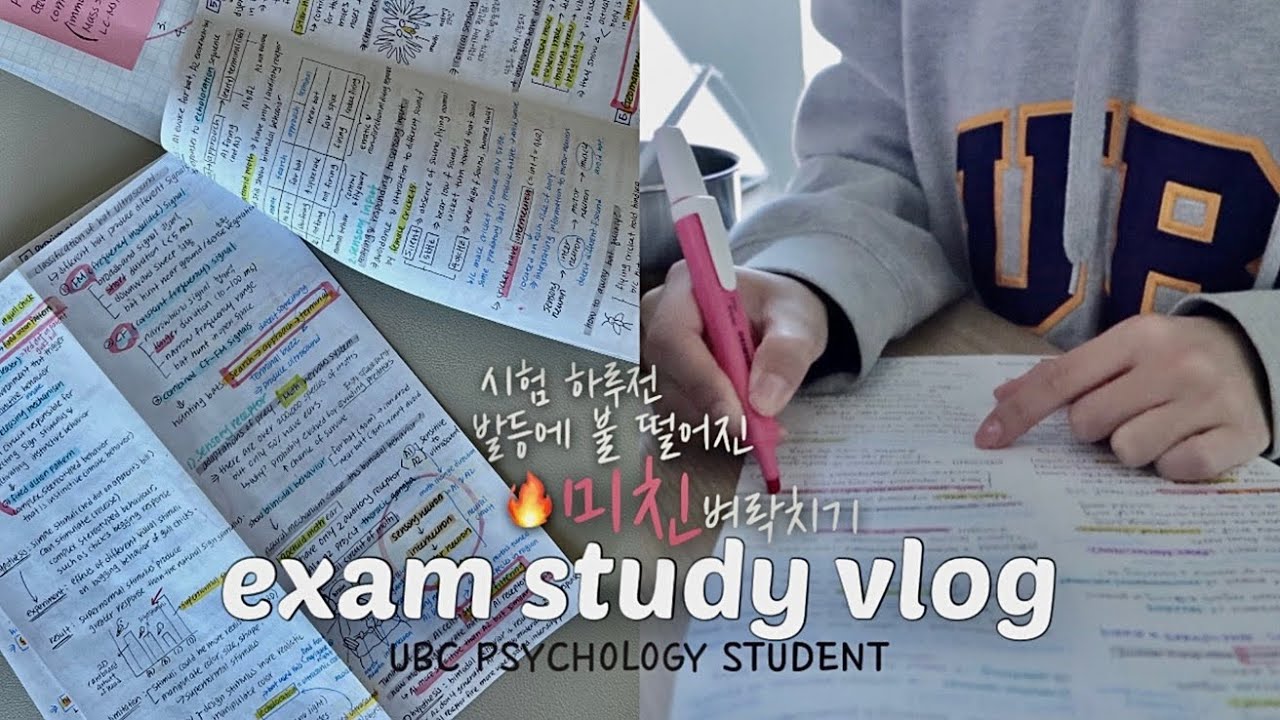 sub) 🔥 리얼 발등에 불 떨어진 시험기간 브이로그 🦶🏻 | 시험 전 24시 죽어라 공부해야 산다.. 🧯| 동물 심리학