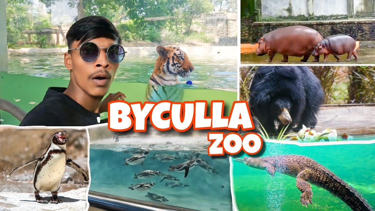 Byculla zoo Mumbai 🐯 || New Update 2024|| penguin🐧 Rani Baug || #tiger #bycullazoo #vlog