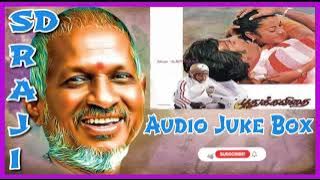 Puthu kavithai Movie Audio Juke Box SD RAJI Ilayaraja Rasigan