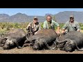 Uganda Buffalo &amp; Plainsgame Hunt 2021 Tim Herald/Jay Cohea Worldwide Trophy Adventures