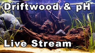 How Does Driftwood Impact Aquarium pH? Bring All Your Fish-Keeping Questions! screenshot 1