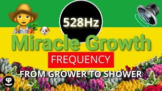 👩‍🌾 528 Hz - The Miracle Growth Frequency of Plants