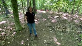 Tick and Poison Ivy Safety Presentation