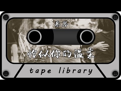 蔡琴 - 恰似你的溫柔『到如今年復一年 我不能停止懷念』【動態歌詞】
