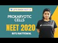 Prokaryotic Cells | Cell - The Unit of Life | Biology | NEET 2020 | Ritu Rattewal