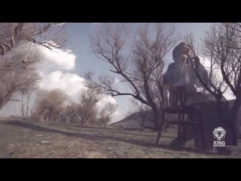 Parastoo Kall Bunava 