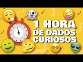 1 hora de dados curiosos  fatos insanos