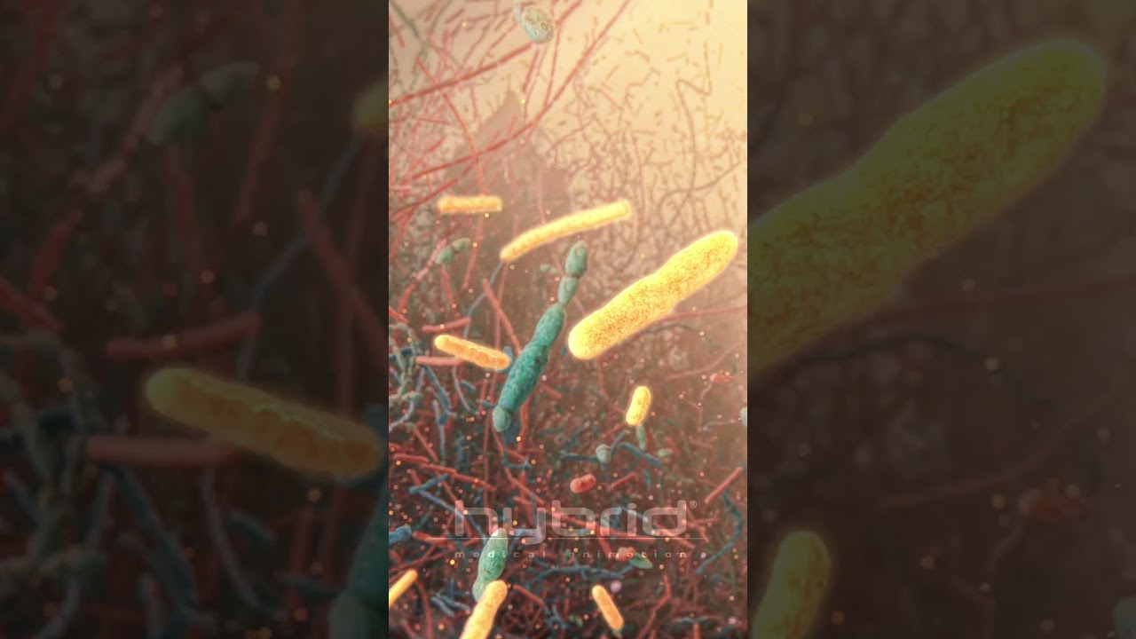 Part 2: Outer mucus layer | gut microbiome | microbiome animation | 