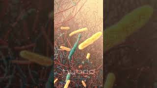 Part 2: Outer mucus layer | gut microbiome | microbiome animation | #microbiome #outermucuslayer