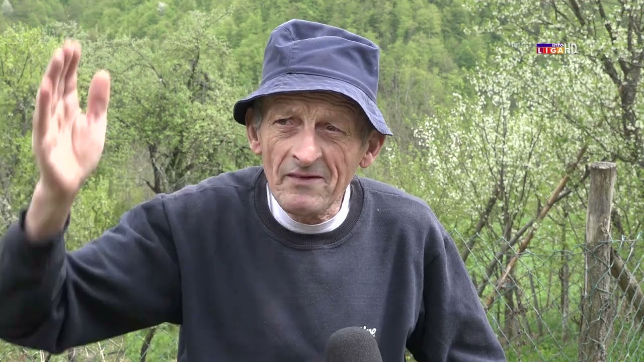 Mečke i divlje svinje uništavaju letinu po ivanjičkim selima i presreću ljude pred kućama