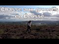 Chasse aux grouses en Ecosse 2/2