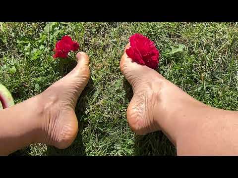 I am admiring the roses, barefoot on the grass🌺
