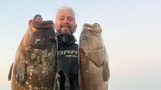 Arnavutluk Zipkinla Balik Avi Spearfishing Albania