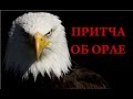 🔴Притча об орле!  Начни жить иначе / Анастасия Булгакова.