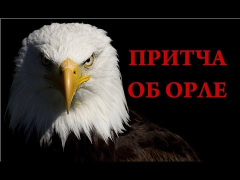 🔴Притча об орле! Начни жить иначе / Анастасия Булгакова.