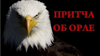 🔴Притча об орле!  Начни жить иначе / Анастасия Булгакова.