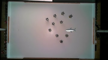 Avoid an Adversary -- Robotarium