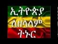 Tsegaye Eshetu Sendekalama ሰንደቅ ዓላማ