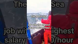 NORTH SEA SCARIEST JOBS IN THE WORLD 😱! #scary #northsea #jobs #adventure #ocean #job