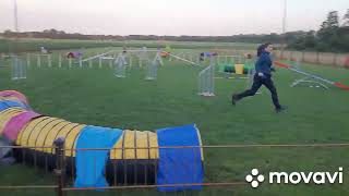 Ays Funky Lee - Agility June 2022