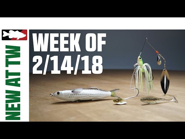 What's New at Tackle Warehouse w. Aaron Quarles - 2/14/18 